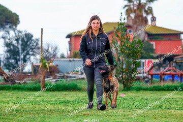 IMG_1942.jpg
