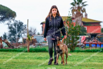 IMG_1949.jpg