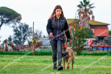 IMG_1955.jpg