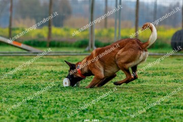 IMG_1982.jpg