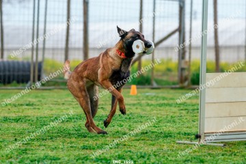 IMG_1999.jpg