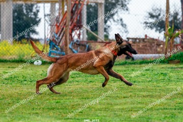 IMG_2032.jpg
