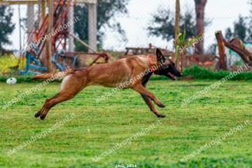 IMG_2034.jpg