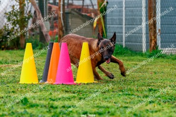 IMG_2056.jpg