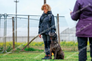 IMG_2111.jpg