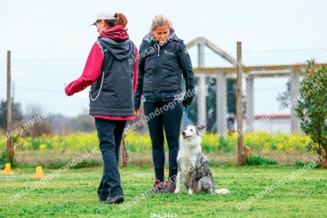 IMG_2115.jpg