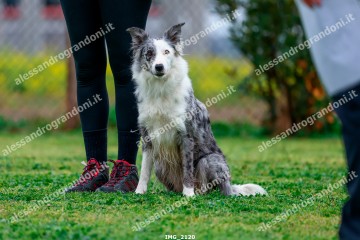 IMG_2120.jpg