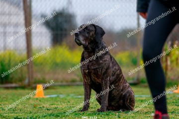 IMG_2122.jpg