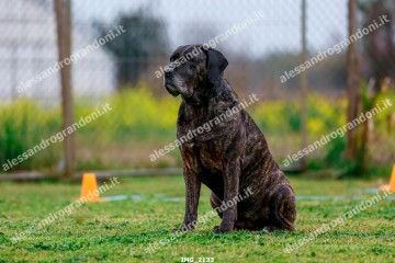 IMG_2133.jpg