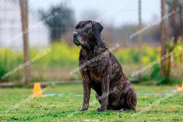 IMG_2159.jpg