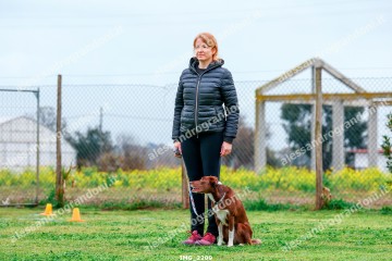 IMG_2209.jpg