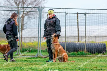 IMG_2216.jpg