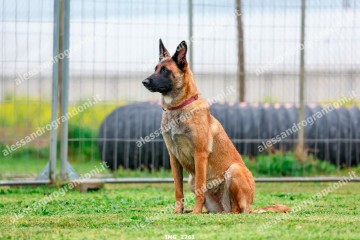 IMG_2261.jpg