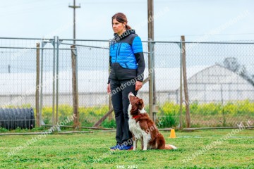 IMG_2282.jpg