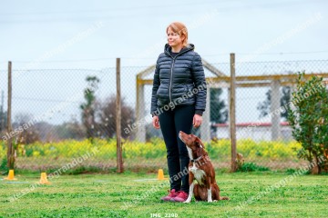 IMG_2290.jpg