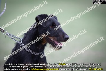 _21A9394.jpg