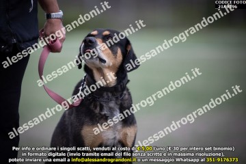 _21A9396.jpg