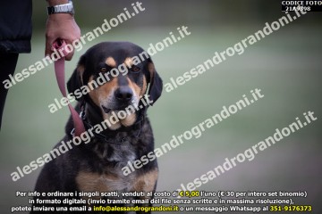 _21A9398.jpg