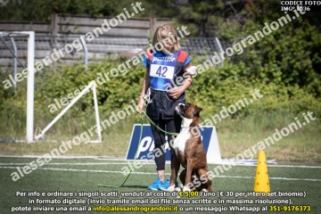 IMG_1036.jpg