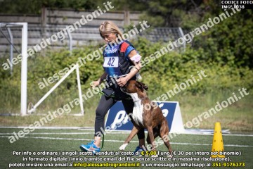 IMG_1038.jpg