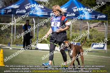 IMG_1061.jpg