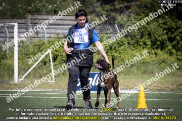 IMG_1064.jpg