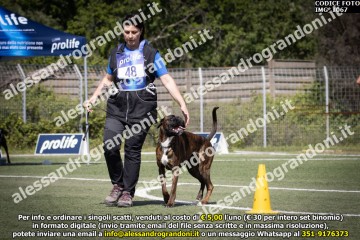 IMG_1067.jpg