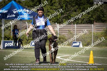 IMG_1068.jpg