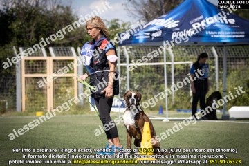 IMG_1074.jpg