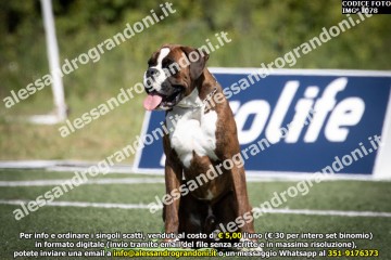 IMG_1078.jpg