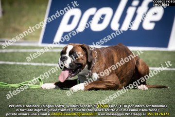 IMG_1083.jpg