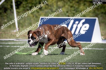 IMG_1086.jpg