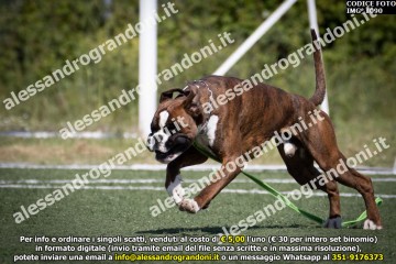 IMG_1090.jpg