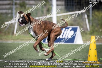 IMG_1092.jpg