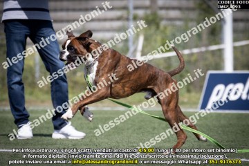 IMG_1093.jpg