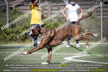 IMG_1095.jpg