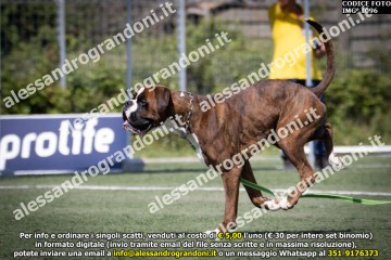 IMG_1096.jpg