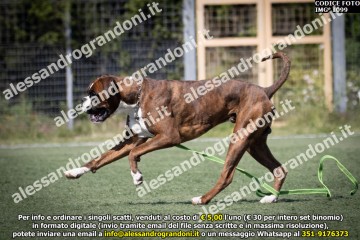 IMG_1099.jpg