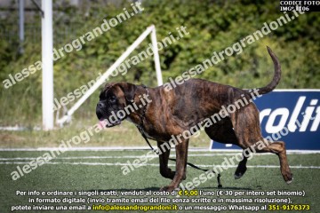 IMG_1106.jpg