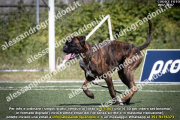 IMG_1107.jpg
