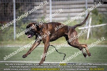 IMG_1112.jpg