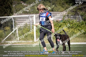 IMG_1122.jpg