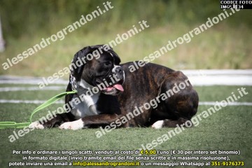 IMG_1134.jpg