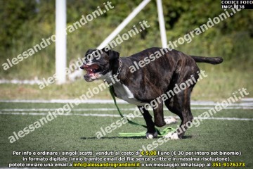 IMG_1138.jpg