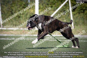 IMG_1139.jpg