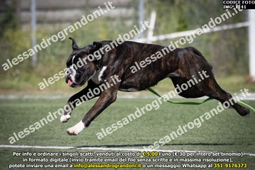 IMG_1141.jpg