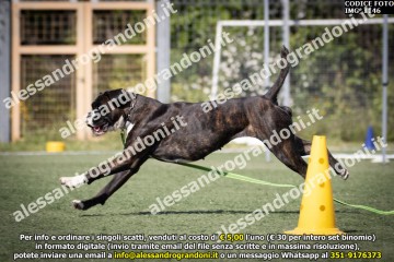 IMG_1146.jpg