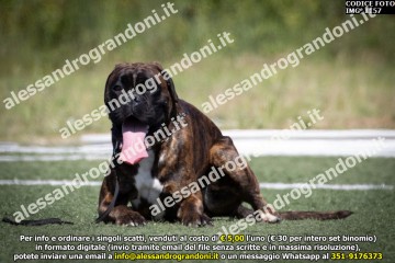IMG_1157.jpg