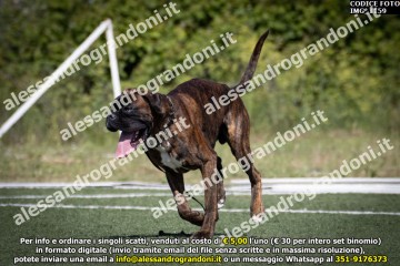 IMG_1159.jpg