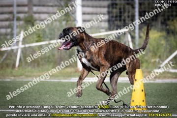IMG_1163.jpg
